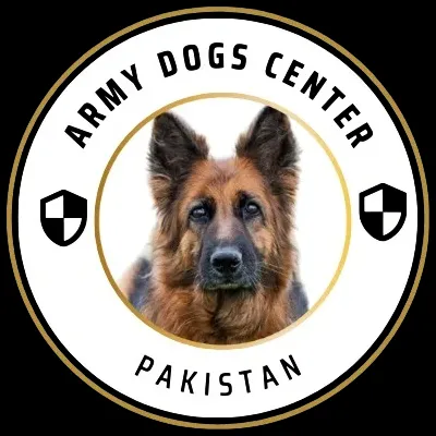 Army Dog