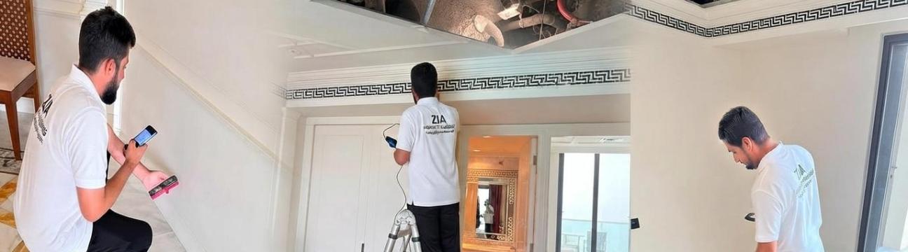 Building Inspection